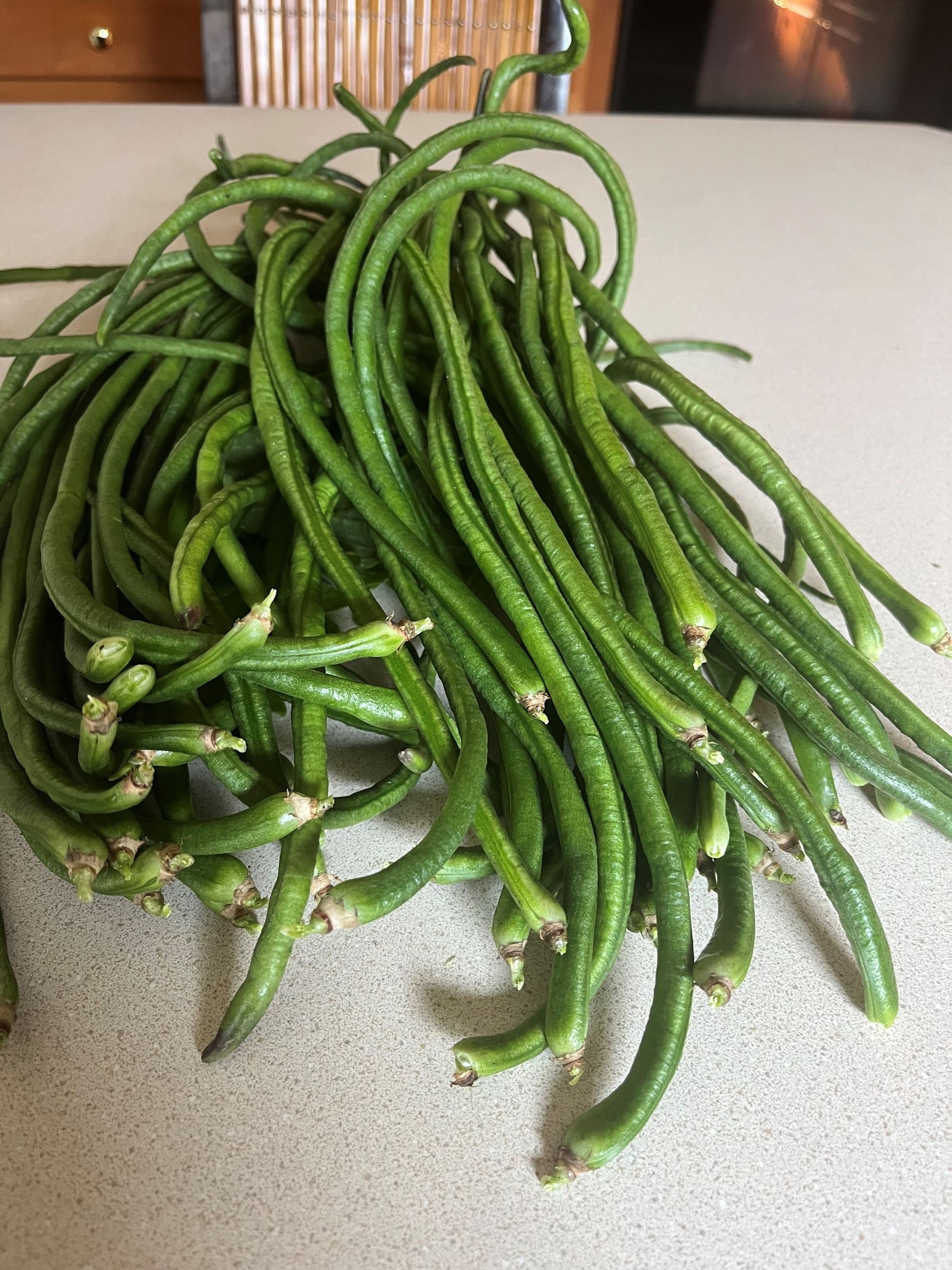 Long Beans 2022